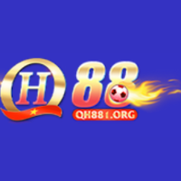 qh881org profile image