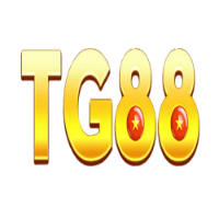 TG88 profile image
