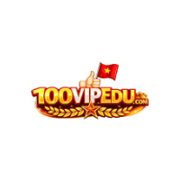 100VIP profile image