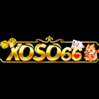 xoso66 nexus profile image