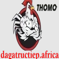 ĐÁ GÀ TRỰC TIẾP AFRICA profile image