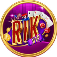 Rikvipcompany profile image