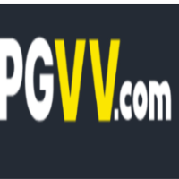 pgvv net profile image