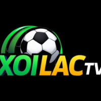 xoilactvvorg profile image