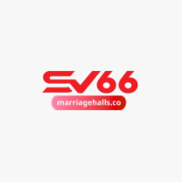 Sv66 in net picture Sv66 in net profile image