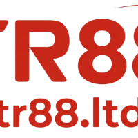 tr88org8 profile image