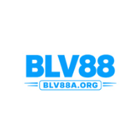Blv88a org profile image