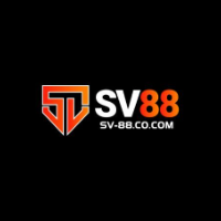 SV88 profile image