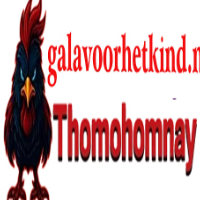 Thomohomnay galavoor picture Thomohomnay galavoor profile image