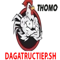 ĐÁ GÀ TRỰC TIẾP SH picture ĐÁ GÀ TRỰC TIẾP SH profile image