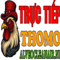 ĐÁ GÀ TRỰC TIẾP ALVEOCLEANAIR profile image