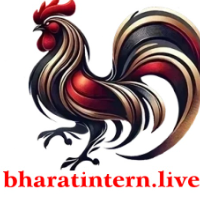 ĐÁ GÀ THOMO BHARATINTERN profile image
