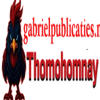 THOMOHOMNAY gabrie profile image