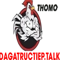 ĐÁ GÀ TRỰC TIẾP TALK profile image