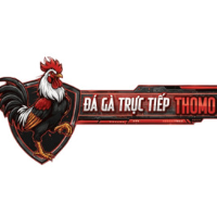 Dagatructiepthomollc picture Dagatructiepthomollc profile image