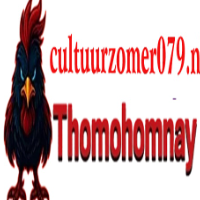 THOMOHOMNAY cultuur profile image