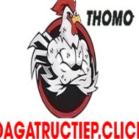 ĐÁ GÀ TRỰC TIẾP CLICK picture ĐÁ GÀ TRỰC TIẾP CLICK profile image