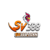 sv388courses picture sv388courses profile image