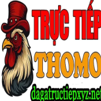 ĐÁ GÀ TRỰC TIẾP XYZ NET profile image