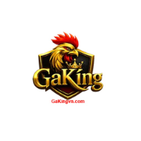 GAKING profile image