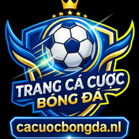 cacuocbongda picture cacuocbongda profile image
