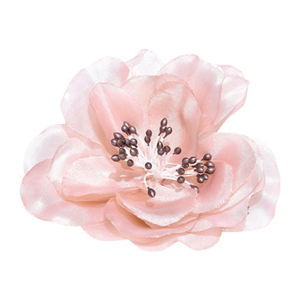 shop Accessorize Peach-Coloured Floral Alligator Hair Clip online shop Accessorize Peach-Coloured Floral Alligator Hair Clip online